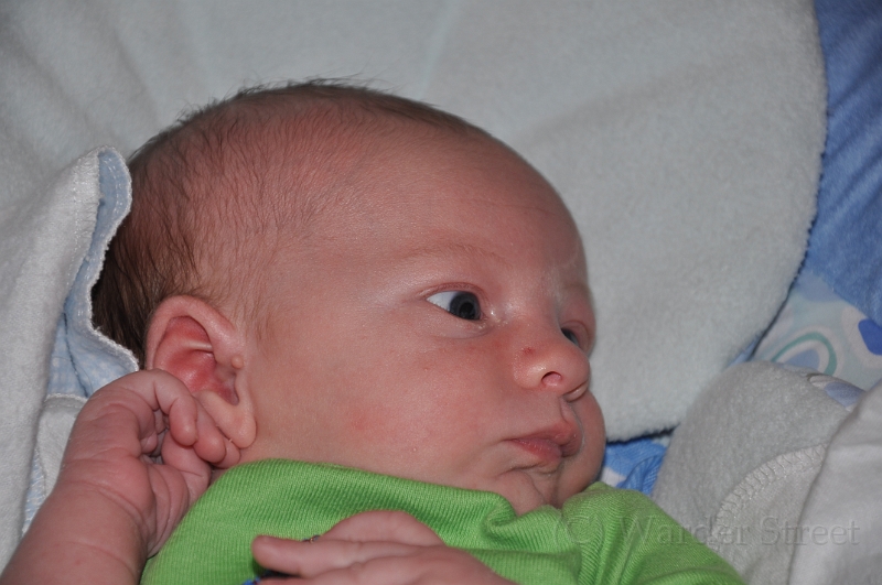 William's Second Week 38.jpg